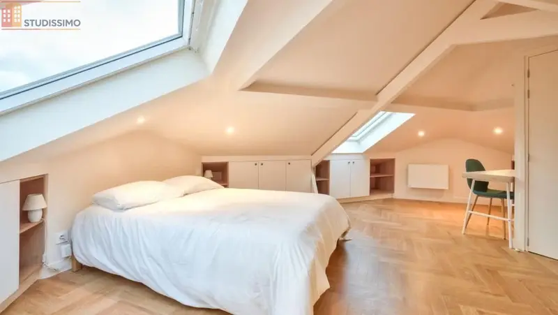 Studio meublé 50m² Villejuif - Lumineux, grand espace - Photo 13