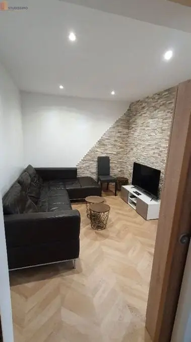 Studio 108m² Cachan - Meublé, DPE D - Photo 6