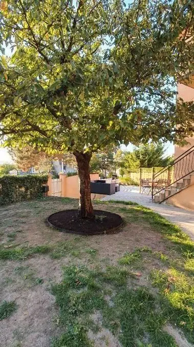 Studio 108m² Cachan - Meublé, DPE D - Photo 3