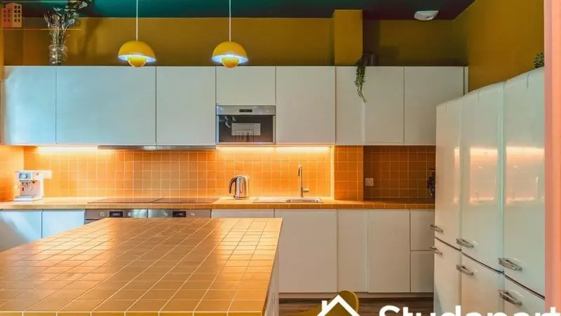 Studio meublé 10m² Villejuif - Meublé, DPE A - Photo 12