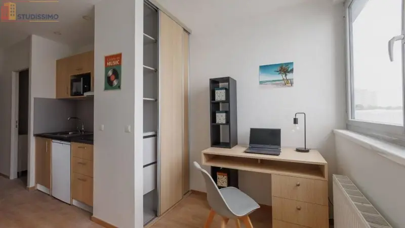Studio meublé 15m² L'Haÿ-les-Roses - Meublé, 1 pièce - Photo 9