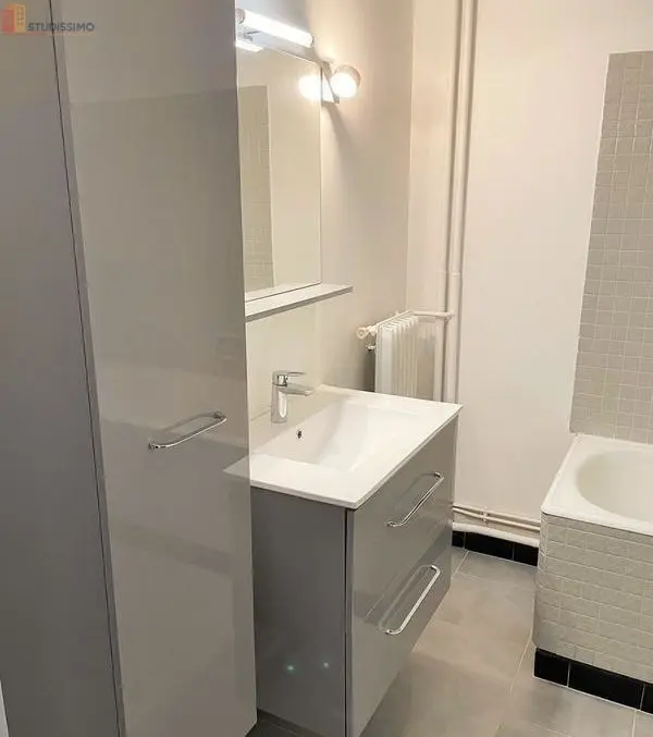 Studio 30m² Charenton-le-Pont - Lumineux - Photo 4