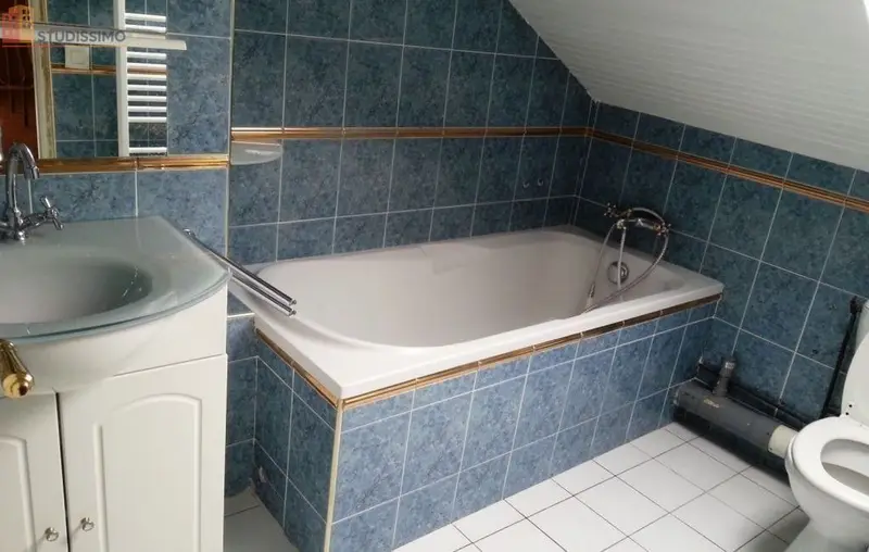 Studio 25m² Choisy-le-Roi - Meublé, proche parc des Sports - Photo 2