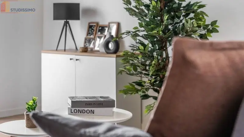 Studio meublé 19m² Arcueil - Meublé, 1 pièce - Photo 13