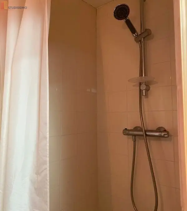 Studio 30m² Herblay-sur-Seine - Meublé, jardin - Photo 3