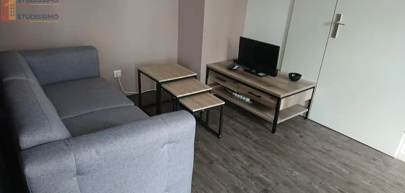 Studio meublé 31m² Cergy - Charme style industriel - Photo 2