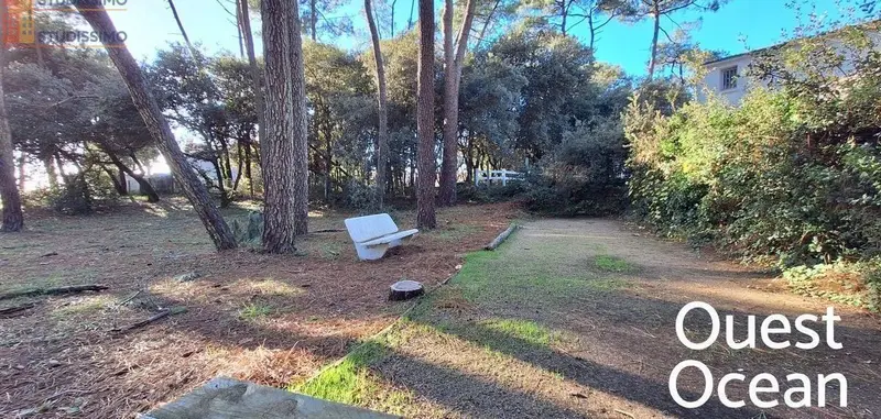 Studio 26m² Jard-sur-Mer - Proche plage - Photo 2